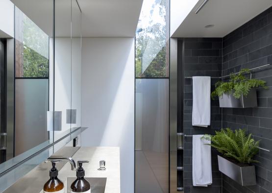 a bathroom with a sink and plants