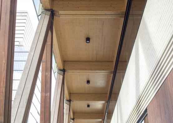 a wood ceiling with glass walls and a light fixture