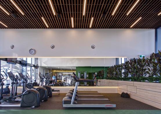 a room with treadmills and exercise equipment