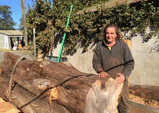 a man standing next to a large log