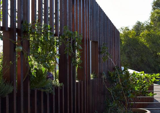 a wooden fence with plants on it