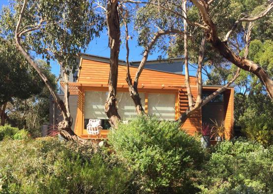 a house with trees around it