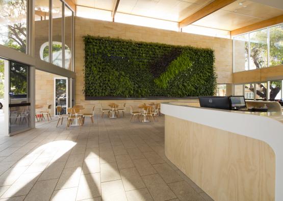 a green wall in a room