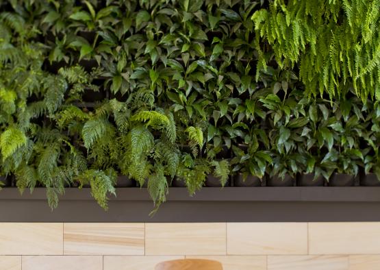 a table and chairs with plants on the wall