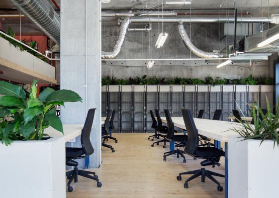 a room with a large planter and tables