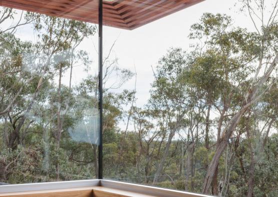 a window with trees in the background