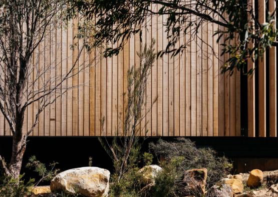 a wood wall with trees and rocks