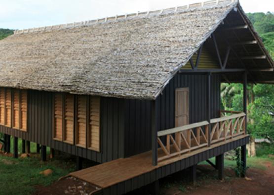 a house with a thatched roof