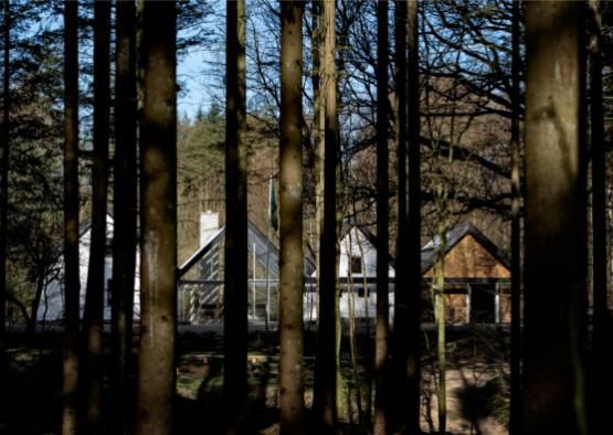 a house through the trees