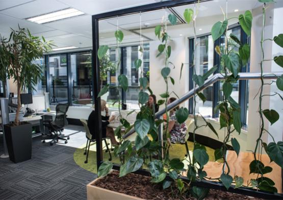 a group of people sitting at a table in a room with plants