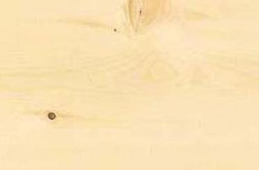 a close up of a wood