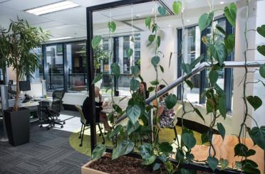 a group of people sitting at a table in a room with plants